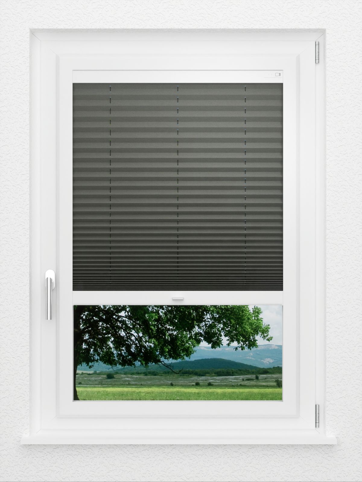 Detailansicht LYSEL HOME Plissee 208A Aralia