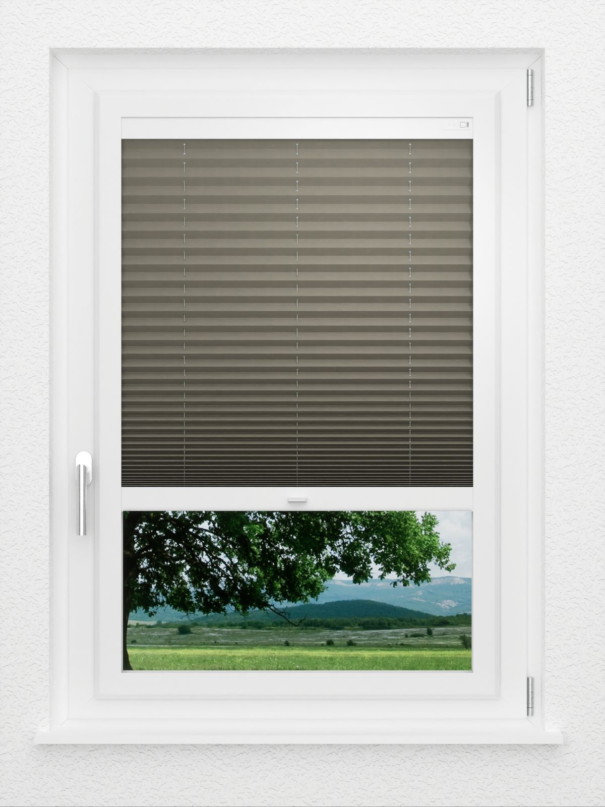 Detailansicht LYSEL HOME Plissee 221A Pinus BO