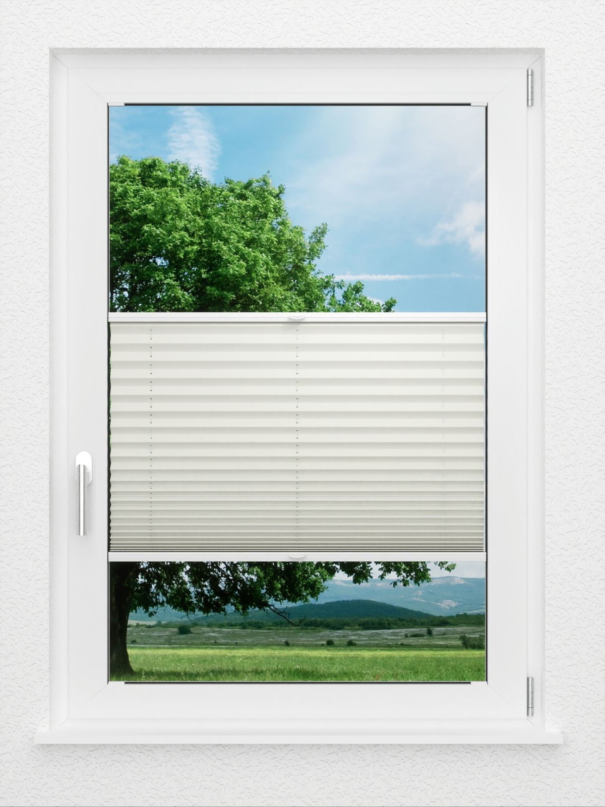 Detailansicht LYSEL HOME Plissee 219B Aralia BO