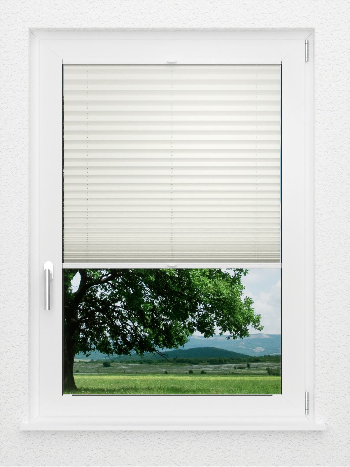 Detailansicht LYSEL HOME Plissee 219B Aralia BO