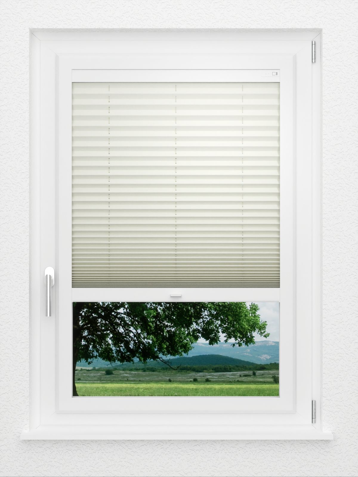 Detailansicht LYSEL HOME Plissee 219B Aralia BO