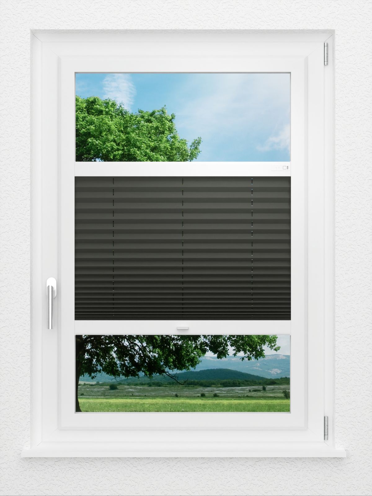 Detailansicht LYSEL HOME Plissee 202B Aralia BO