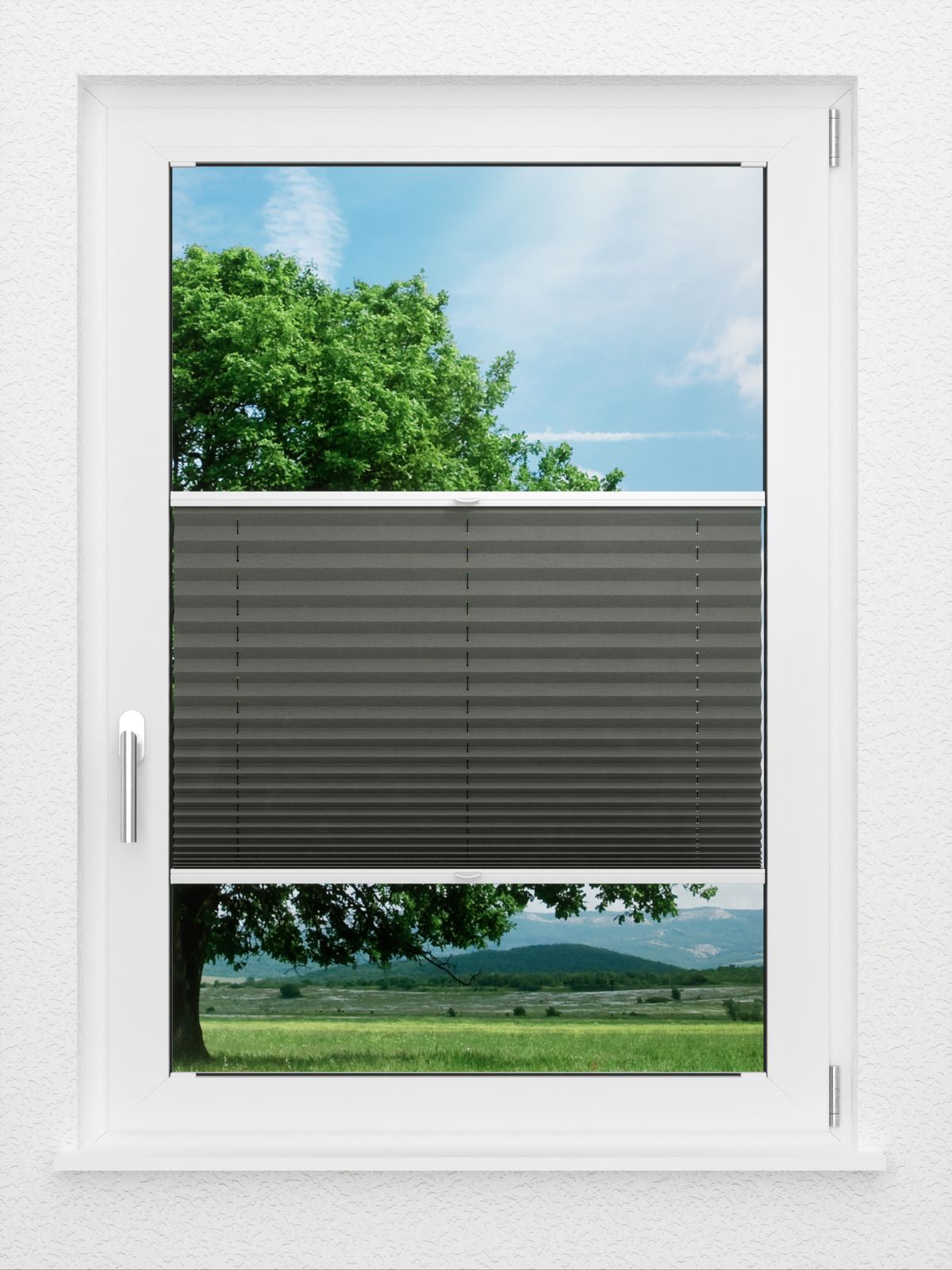 Detailansicht LYSEL HOME Plissee 208B Aralia
