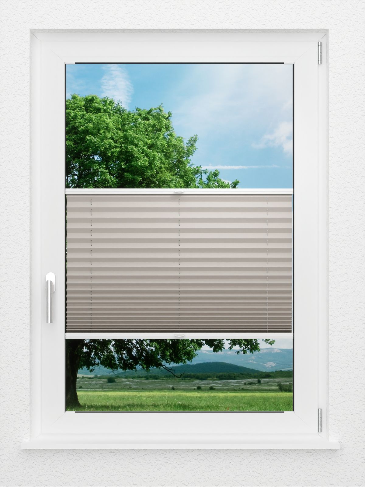 Detailansicht LYSEL HOME Plissee 128B Aralia