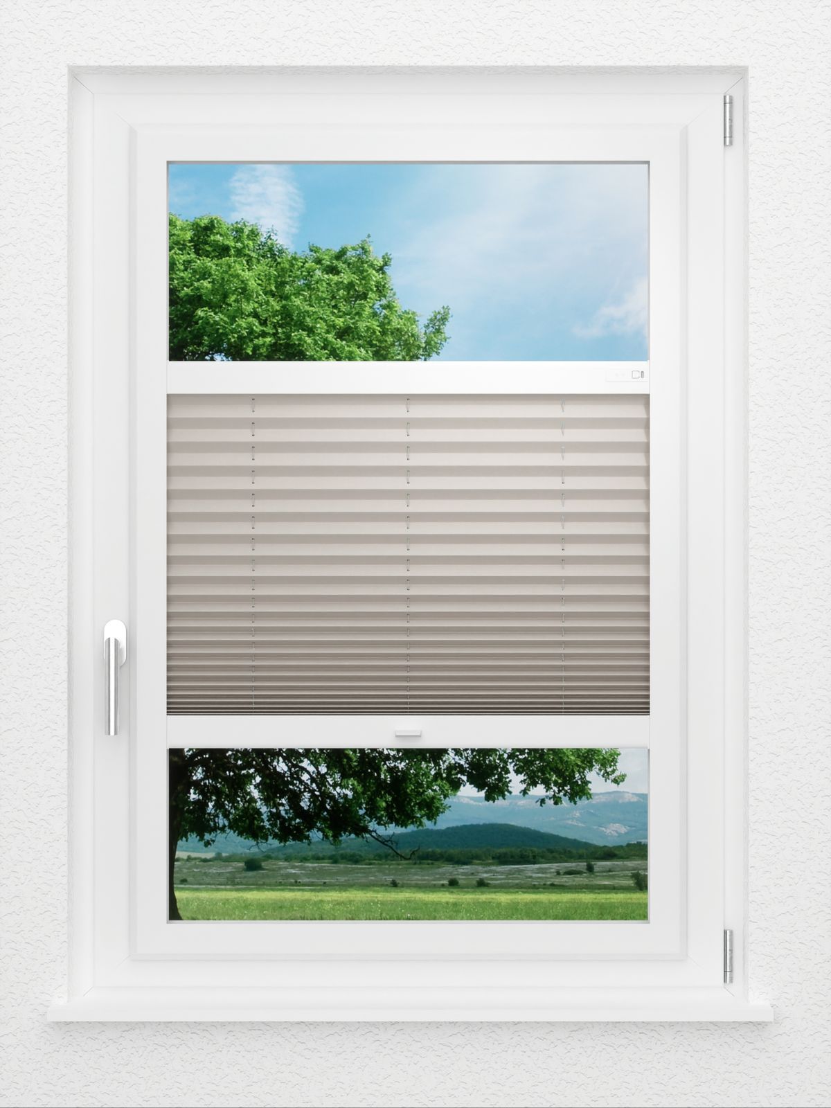 Detailansicht LYSEL HOME Plissee 128B Aralia