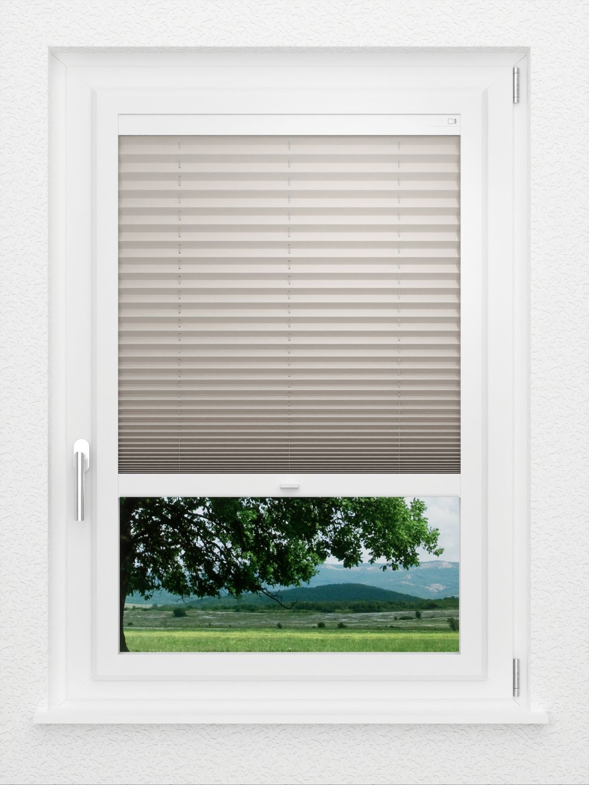 Detailansicht LYSEL HOME Plissee 128B Aralia