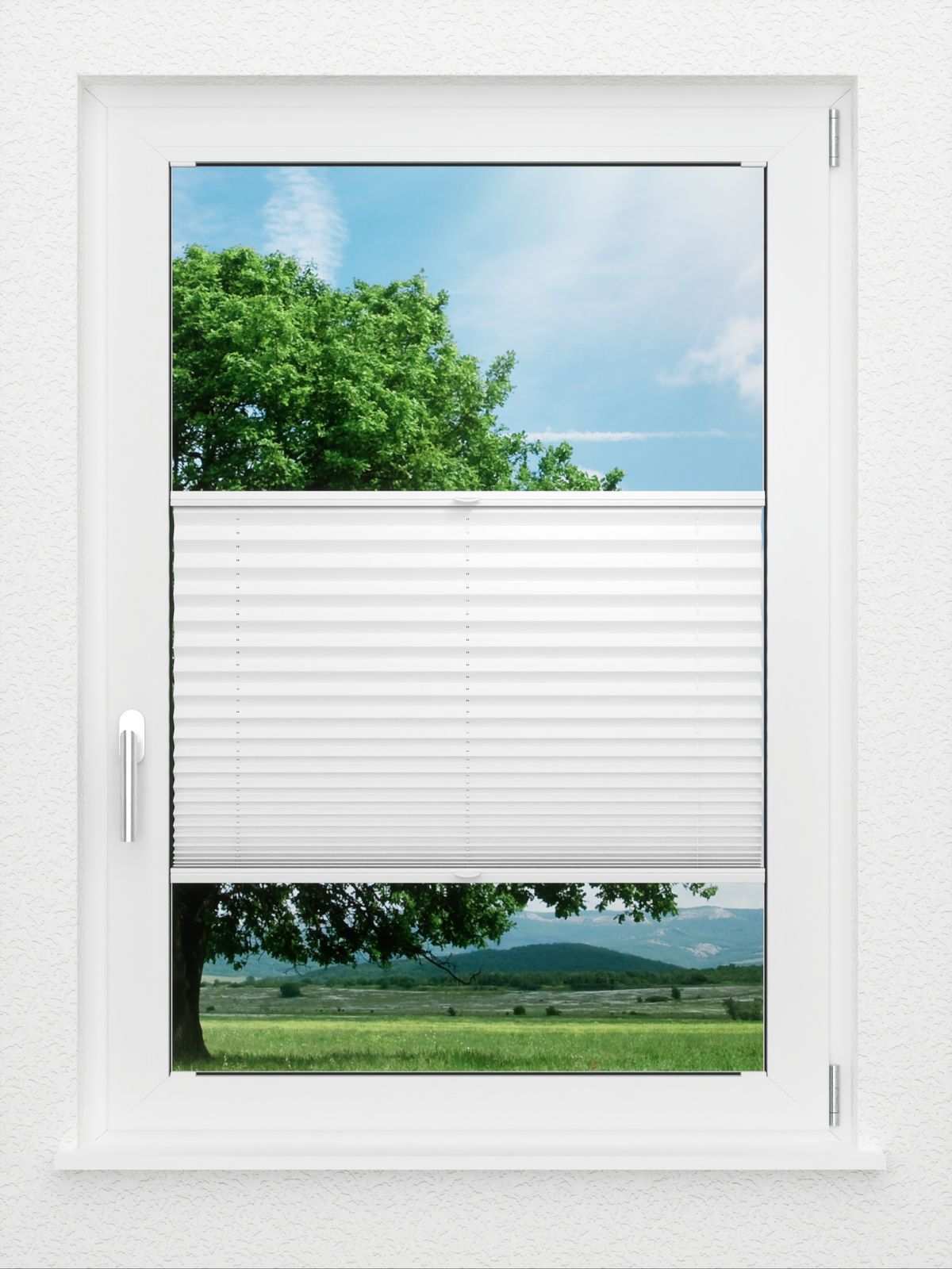 Detailansicht LYSEL HOME Plissee 205B Aralia