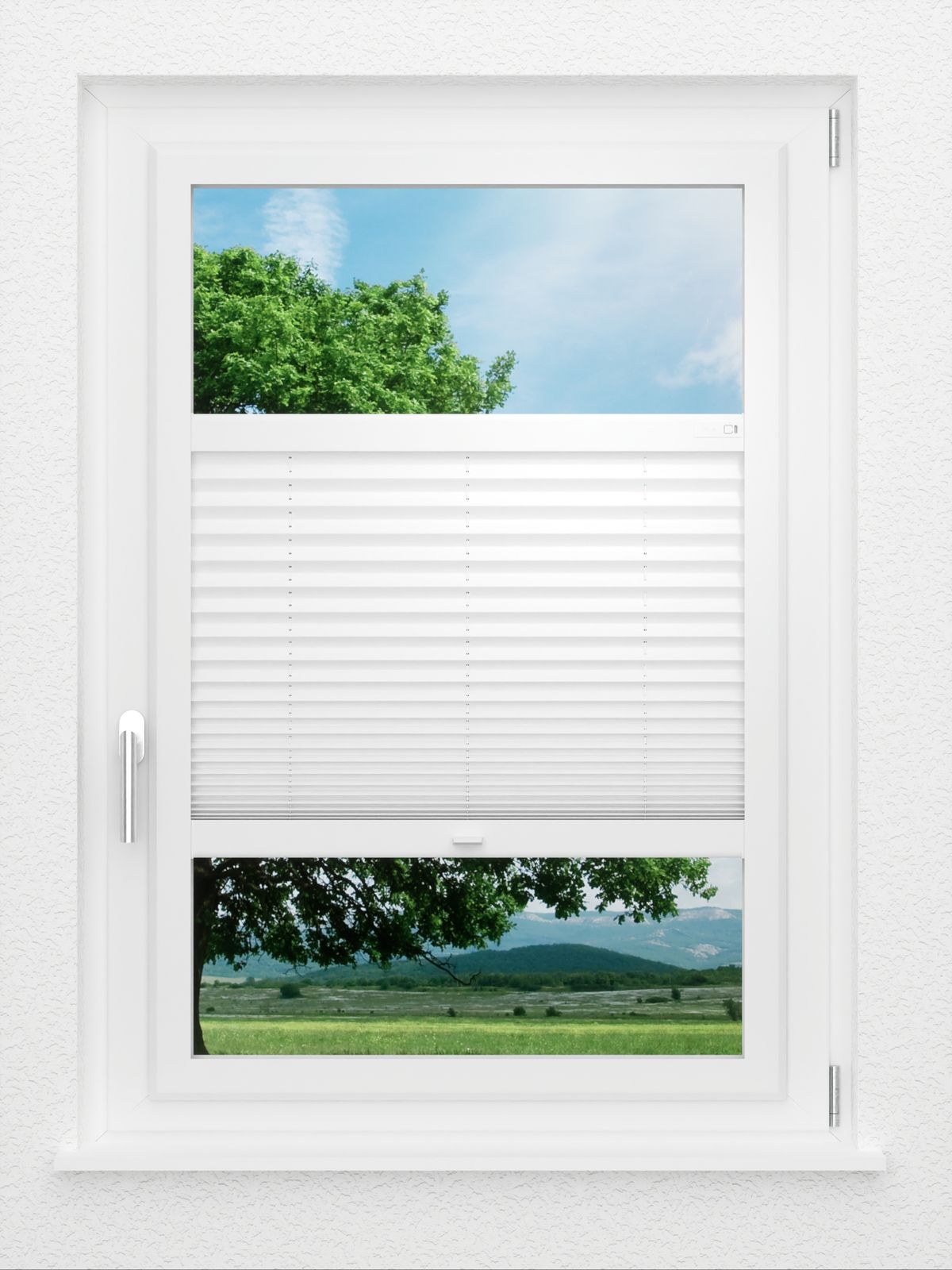 Detailansicht LYSEL HOME Plissee 205B Aralia