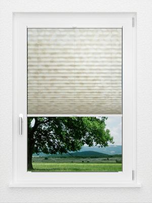Preview LYSEL HOME Plissee 342A Brisanto 1