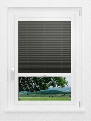 Preview LYSEL HOME Plissee 211A Aralia Pearl 0