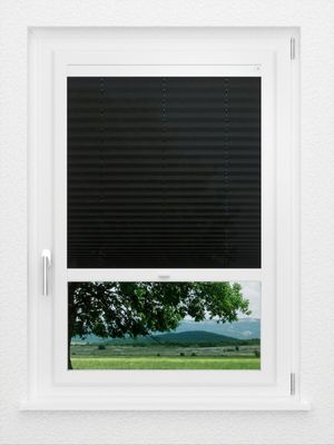 Preview LYSEL HOME Plissee 130A Erinus 0