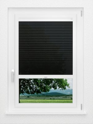 Preview LYSEL HOME Plissee 131A Erinus 0