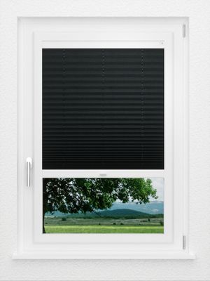 Preview LYSEL HOME Plissee 301A Abelia Pearl 0