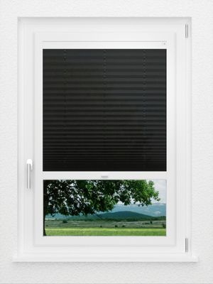 Preview LYSEL HOME Plissee 229A Arum 0