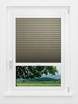 Preview LYSEL HOME Plissee 134A Betula BO 0