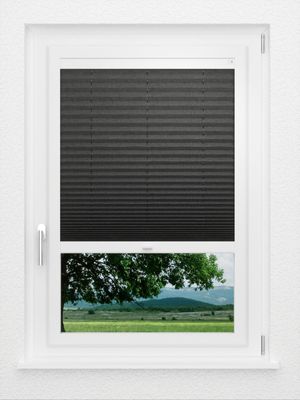 Preview LYSEL HOME Plissee 117A Betula BO 0