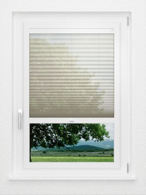 Preview LYSEL HOME Plissee 110A Calluna 0