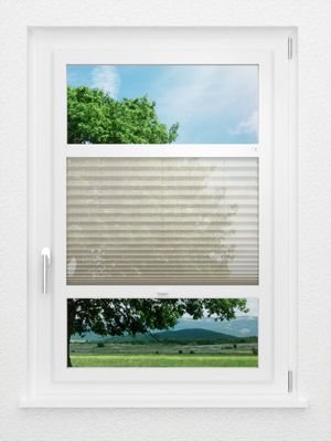 Preview LYSEL HOME Plissee 110A Calluna 1