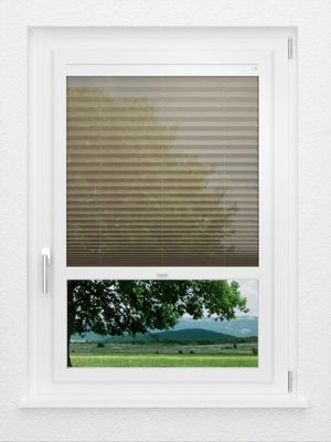 Preview LYSEL HOME Plissee 111A Calluna 0