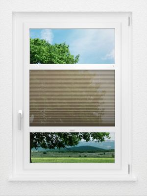 Preview LYSEL HOME Plissee 111A Calluna 1