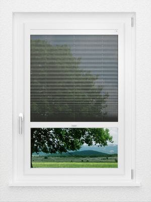 Preview LYSEL HOME Plissee 112A Calluna 0