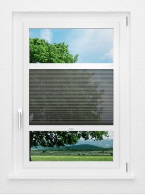 Preview LYSEL HOME Plissee 112A Calluna 1