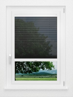 Preview LYSEL HOME Plissee 139A Calluna 0