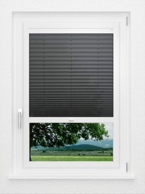 Preview LYSEL HOME Plissee 306A Arabis 0