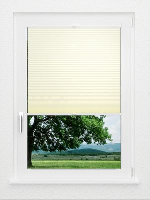 Preview LYSEL HOME Plissee 313A Evelyne Wabe 1