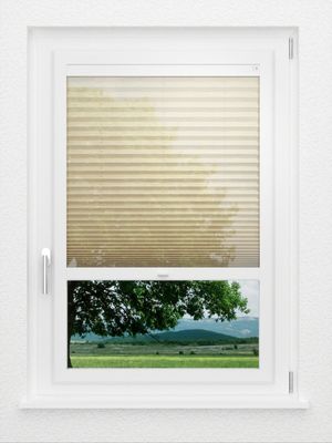 Preview LYSEL HOME Plissee 319A Sensitivo 1
