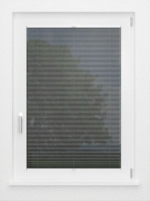 Preview LYSEL HOME Plissee 321A Sensitivo 2