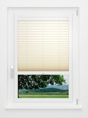 Preview LYSEL HOME Plissee 422A Symphony 1