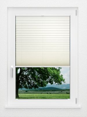 Preview LYSEL HOME Plissee 317A Naturalis 1