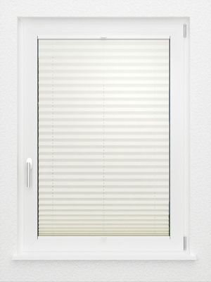Preview LYSEL HOME Plissee 317A Naturalis 2