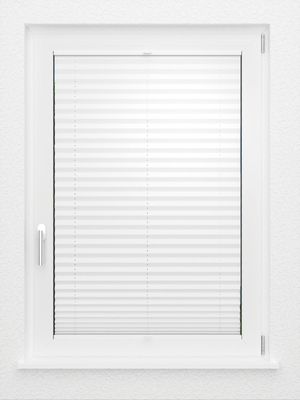 Preview LYSEL HOME Plissee 103B Aralia BO 2