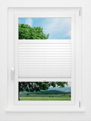 Preview LYSEL HOME Plissee 103B Aralia BO 1