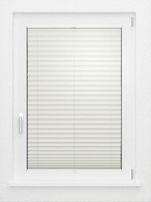 Preview LYSEL HOME Plissee 219B Aralia BO 2