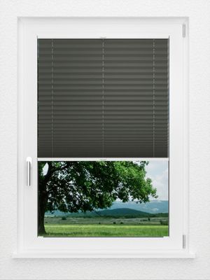 Preview LYSEL HOME Plissee 202B Aralia BO 1