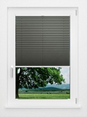 Preview LYSEL HOME Plissee 208B Aralia 1