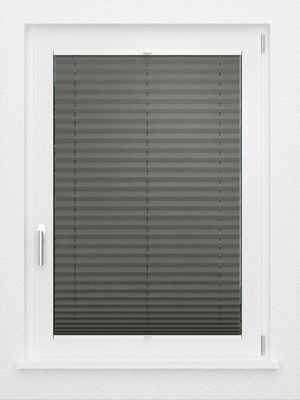Preview LYSEL HOME Plissee 208B Aralia 2