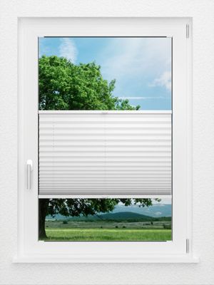 Preview LYSEL HOME Plissee 209B Aralia Pearl 0