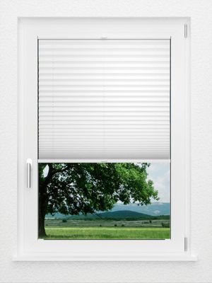 Preview LYSEL HOME Plissee 209B Aralia Pearl 1