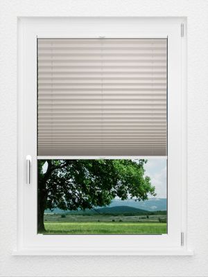 Preview LYSEL HOME Plissee 128B Aralia 1