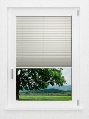 Preview LYSEL HOME Plissee 212B Aralia Pearl 1