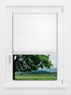 Preview LYSEL HOME Plissee 205B Aralia 1