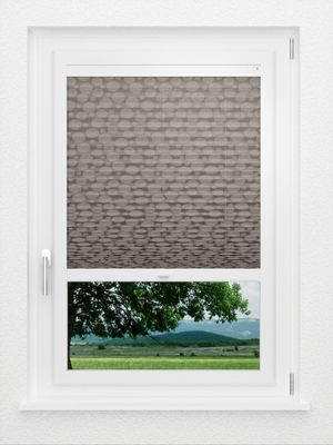 Preview LYSEL HOME Plissee 411A Shiny Rings 1