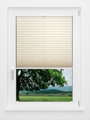 Preview LYSEL HOME Plissee 328A Shiny Rings 1