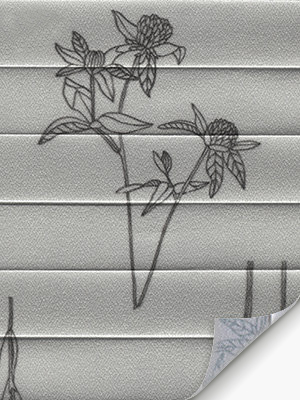 Preview LYSEL HOME Plissee 437A Medea 3