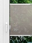Rough Comb LI 6201.3576 Fensteransicht