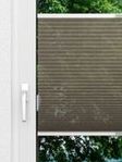Rough Comb LI 6402.3578 Fensteransicht